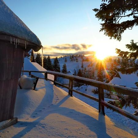 Chalet Resa - Velika planina Stahovica Bagian luar foto