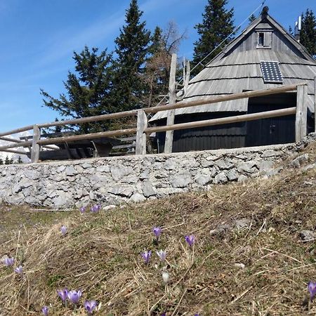 Chalet Resa - Velika planina Stahovica Bagian luar foto