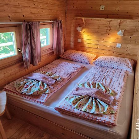 Chalet Resa - Velika planina Stahovica Bagian luar foto