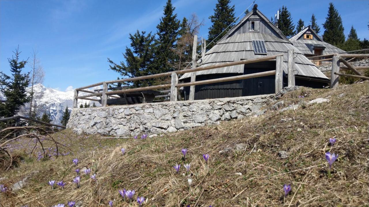 Chalet Resa - Velika planina Stahovica Bagian luar foto