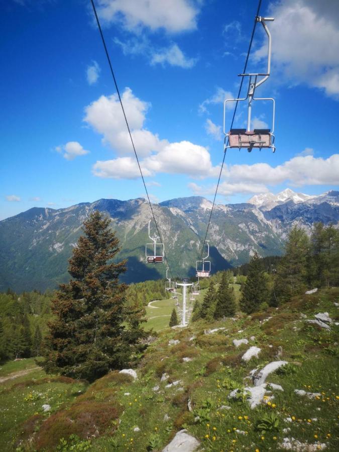 Chalet Resa - Velika planina Stahovica Bagian luar foto