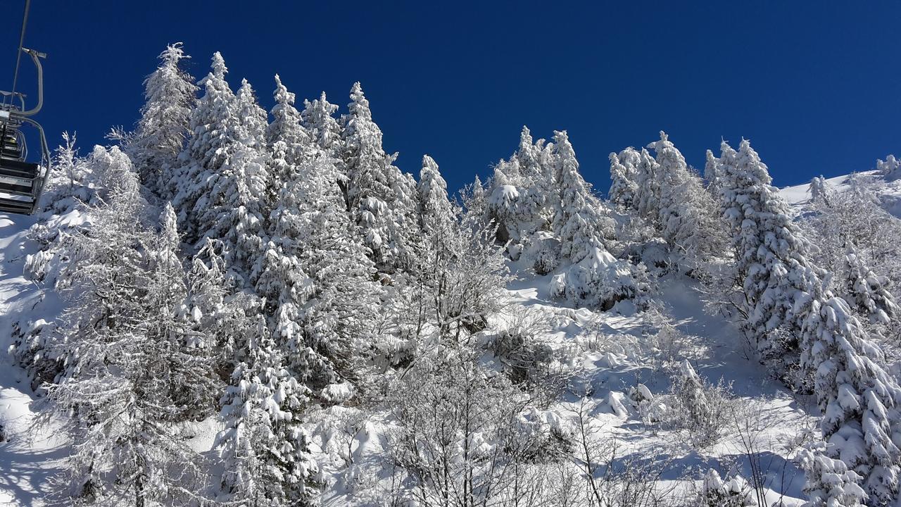 Chalet Resa - Velika planina Stahovica Bagian luar foto